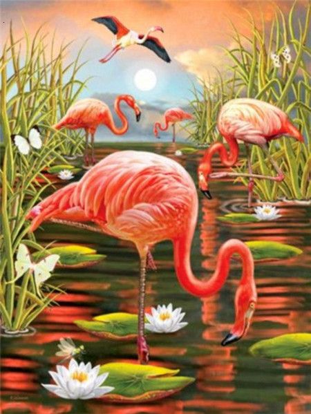 40X50CM Flamingo DIY Oil Painting By Numbers