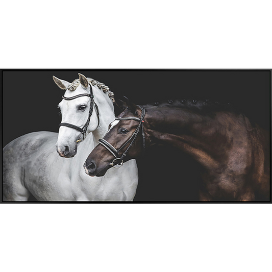 120x60CM Horse Full Diamond Painting NO Frame Round diamond  M5929