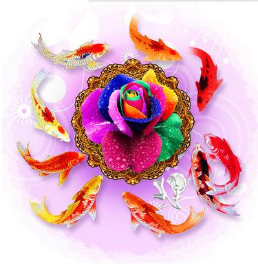 60x60CM 9fish be rich 5D Full Diamond Painting NO Frame Round diamond