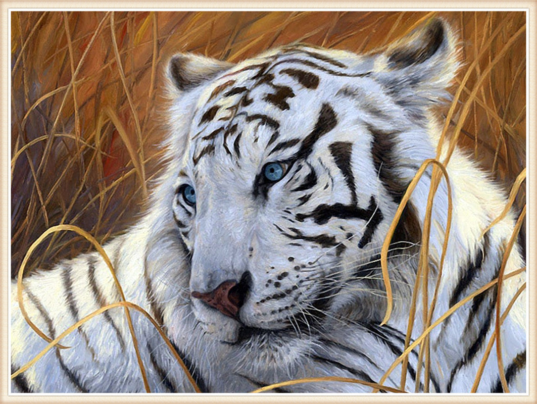 30x40CM  tiger 5D Full Diamond Painting DIY Pictures  NO FRAME