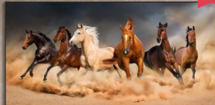 120X50CM-6 horse to success -DIY 5D full Diamond Painting NO FRAME