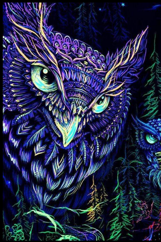 40X30CM Night owl  5d diy diamond painting full drill NO FRAME LD117