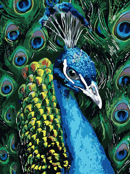 Peacock - 40*50CM No Framed DIY Oil Painting By Numbers Canvas Wall Art