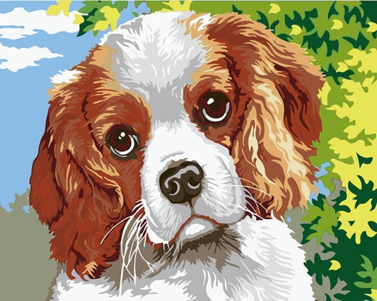 Dog No Framed DIY Oil Painting By Numbers 40*50CM