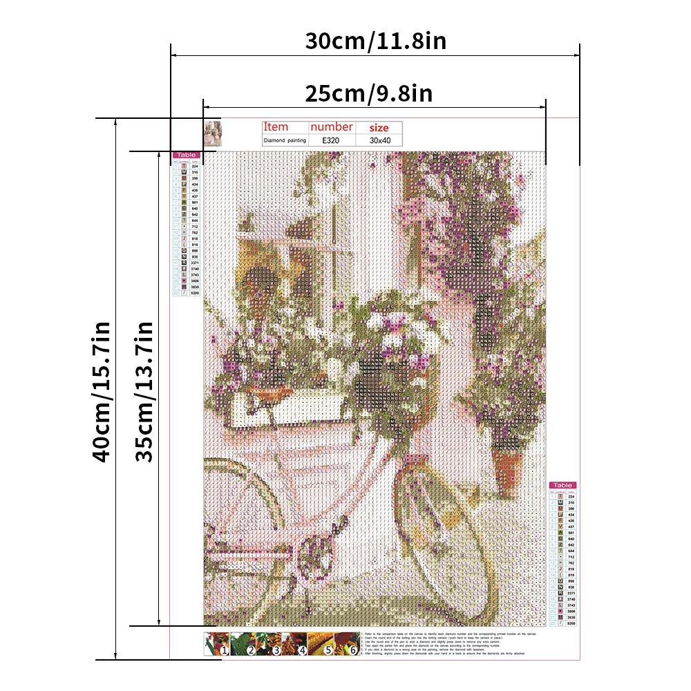 30X40CM no frame  bicycle  5D Full Diamond Painting DIY Pictures E320