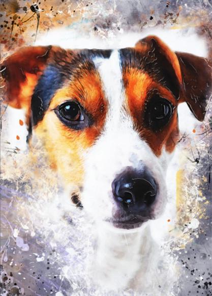 30X40CM-Dog-5D Full Diamond Painting DIY Pictures SM001